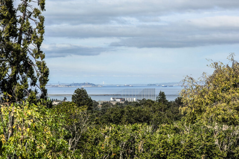 Bay Bridge View